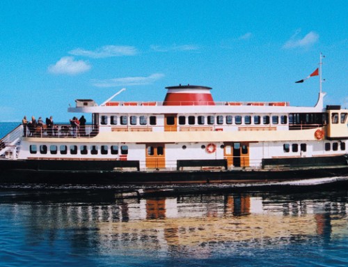 Stumped for your next celebratory occasion? A Party Boat cruise in Melbourne could be what you need.