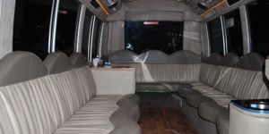 Dreamscape Tours - Winery Tours 15 Seat Limo Bus 003