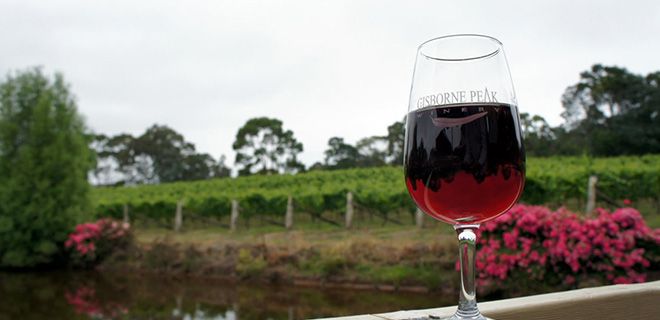 Private Winery Tours Macedon Ranges